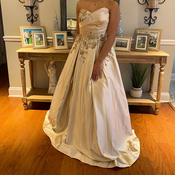 Gorgeous ball gown with pockets, beaded bodice and intricate design. Size 6 - Picture 1 of 12